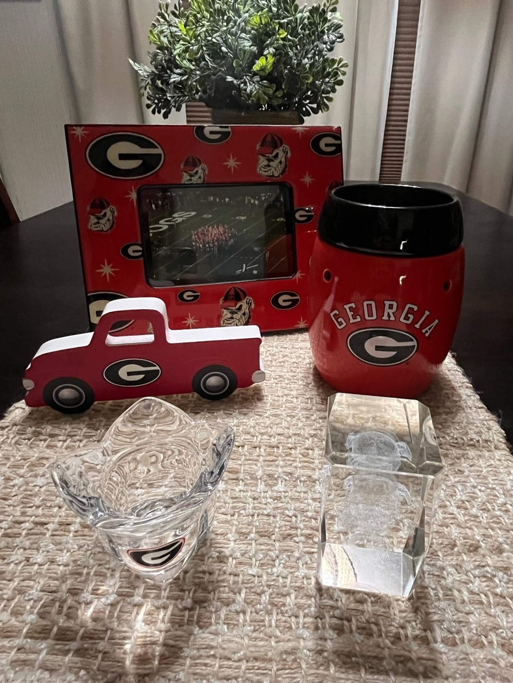 Georgia Bulldog bundle